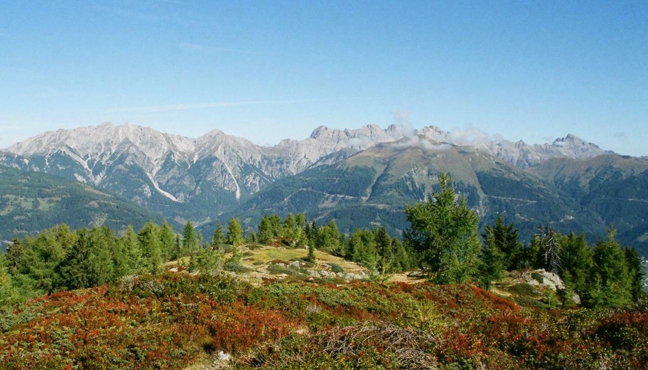 Bio-Bergbauernhof Ederhias Villa Liesing Bagian luar foto